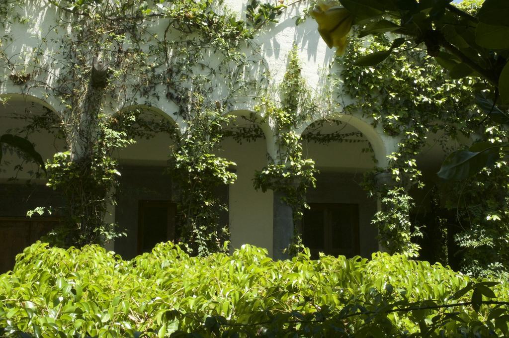 Casa Mision De San Miguel Hotel Сан Мигел де Аленде Екстериор снимка